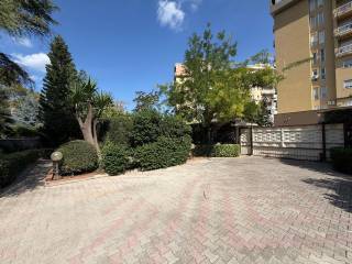 Ingresso
