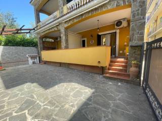 Ingresso