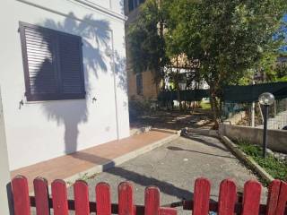 Zona