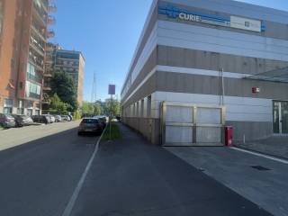 Zona