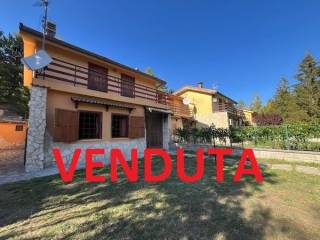 Zona