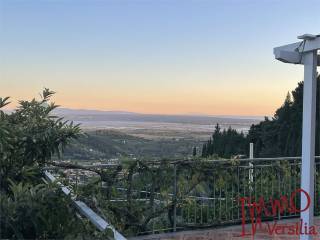 Vista