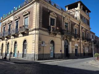 Zona