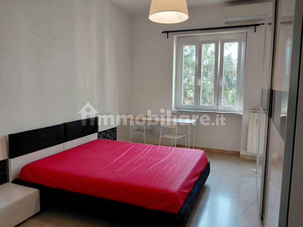 2 stanze singole in Mirafiori Nord, foto 6 di 23