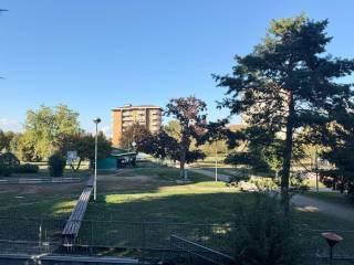 Vista