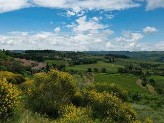 Vista