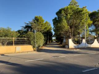 Zona
