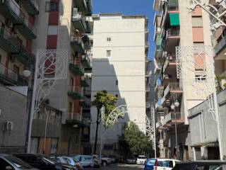 Zona