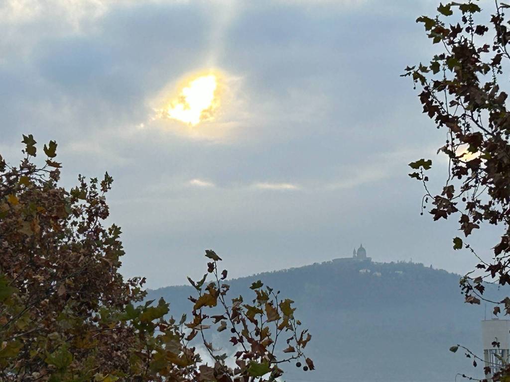 Appartamento in Sassi, foto 7 di 29