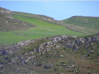 Terreno