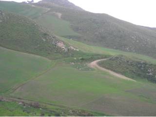 Terreno