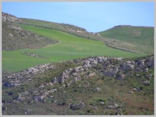 Terreno