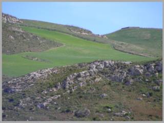 Terreno