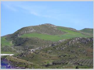 Vista