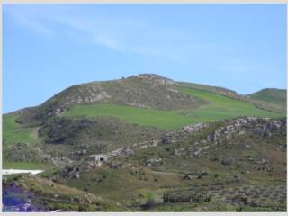 Vista