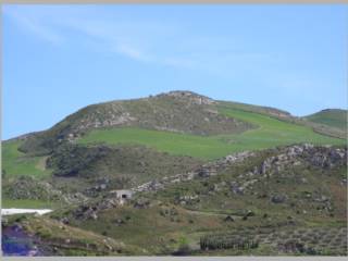 Vista