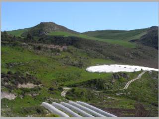 Terreno