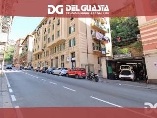 Zona