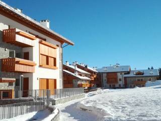Zona