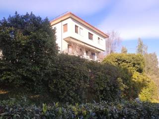 Vista