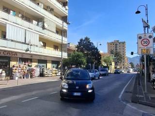 Zona