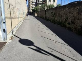 Zona