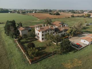 Vista