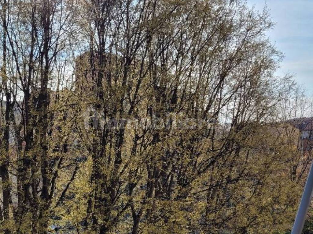 Posto letto in doppia in Vanchiglietta, foto 7 di 18