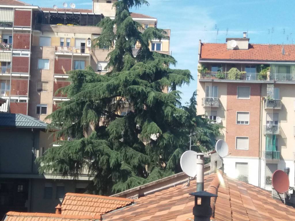 Stanza singola in Aurora, foto 11 di 12