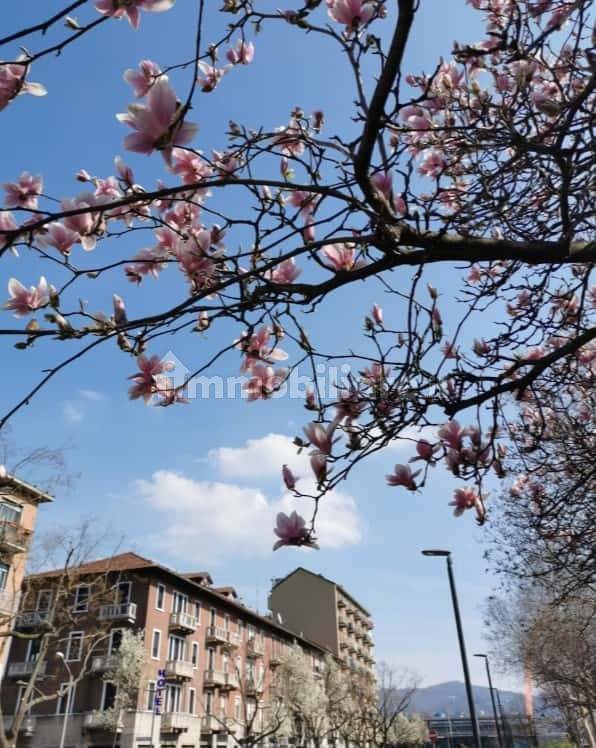 Stanza singola in Filadelfia, foto 19 di 19