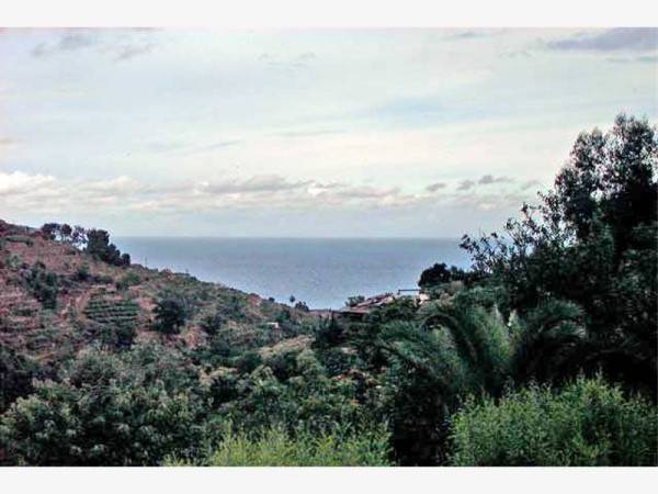 Terreno edificabile, zona collinare, bordighera