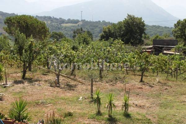 terreno