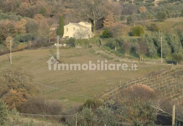 Vista da Montecchio