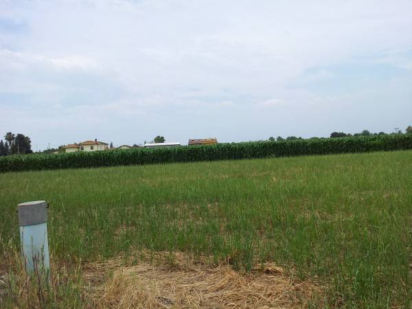 Terreno agricolo strada don luca, latina scalo, latina