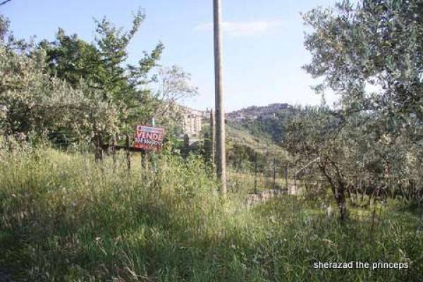 Terreno agricolo via giorgio amendola, arpino