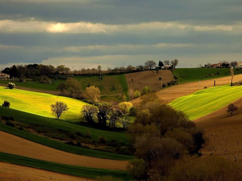 campagna