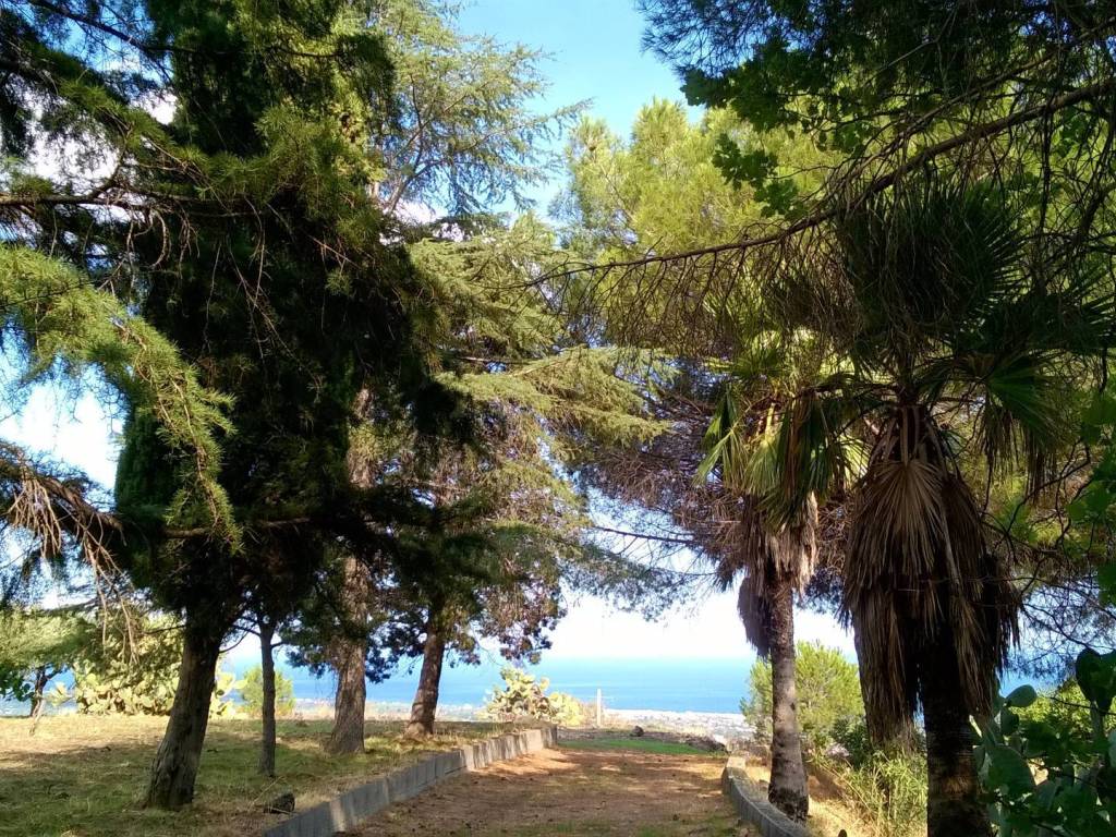 Terreno agricolo via rinazzo 1, nunziata, mascali