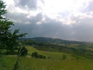 terreno agricolo