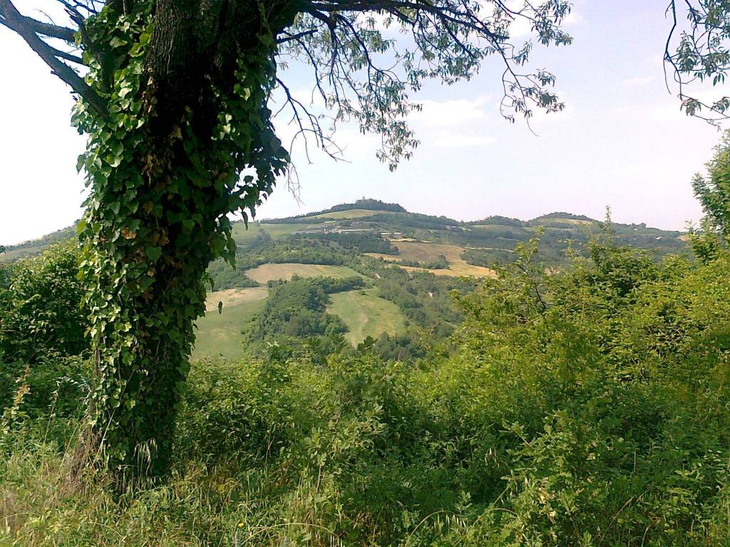 terreno agricolo