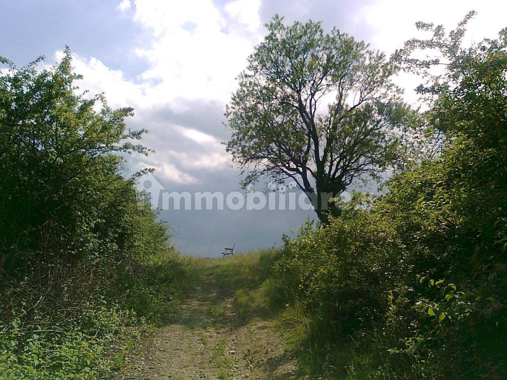 terreno agricolo