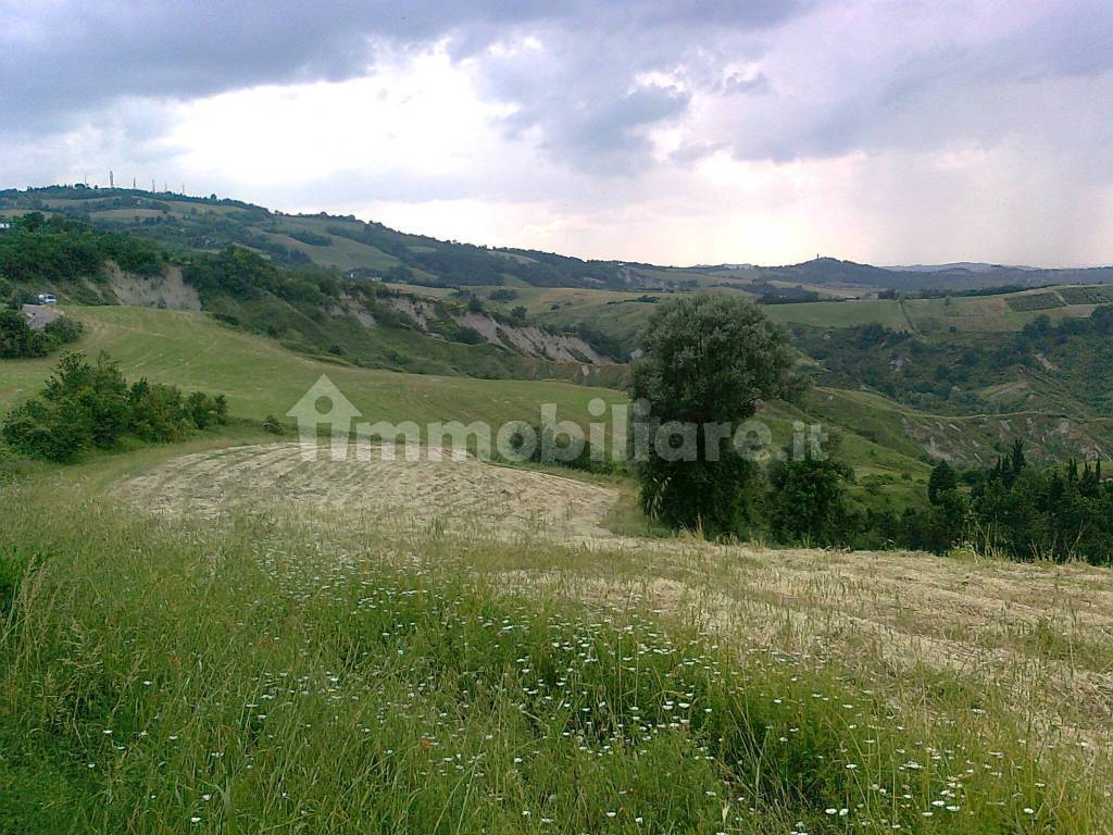 terreno agricolo