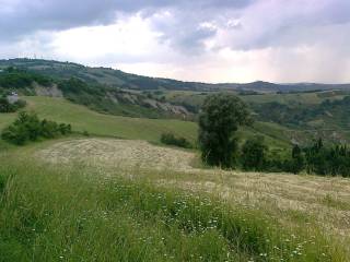 terreno agricolo