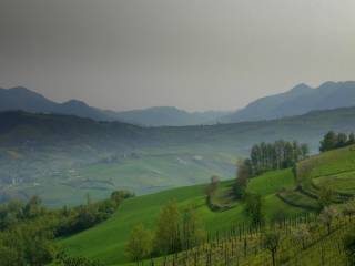 COLLINE VAL CURONE