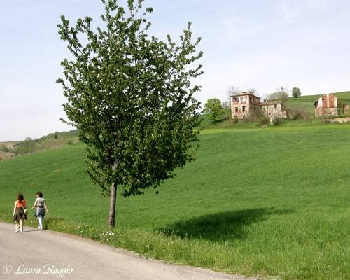 PERCOSI PER PASSEGGIATE