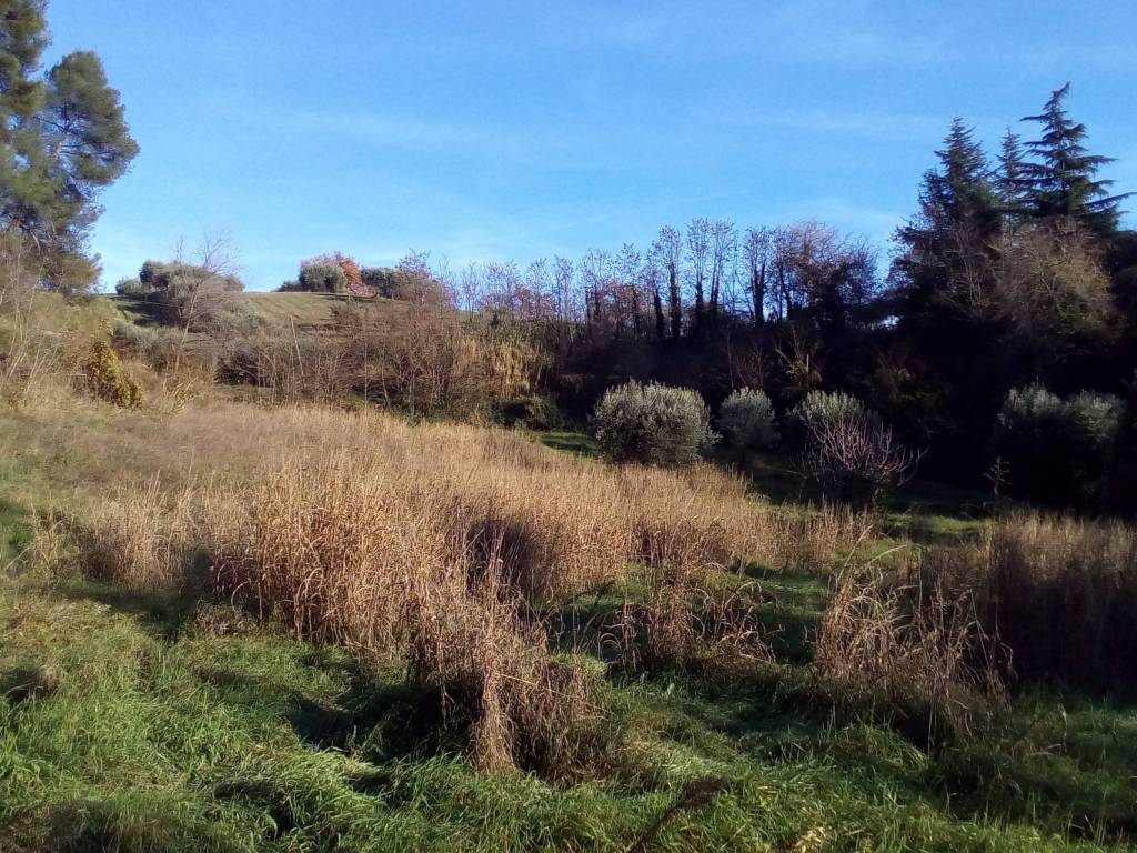Terreno agricolo, ascoli piceno