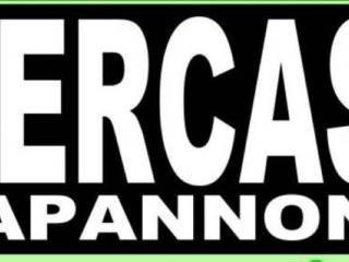 CERCASI CAPANNONE