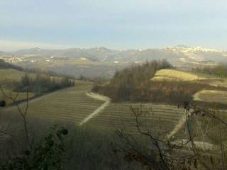 vista