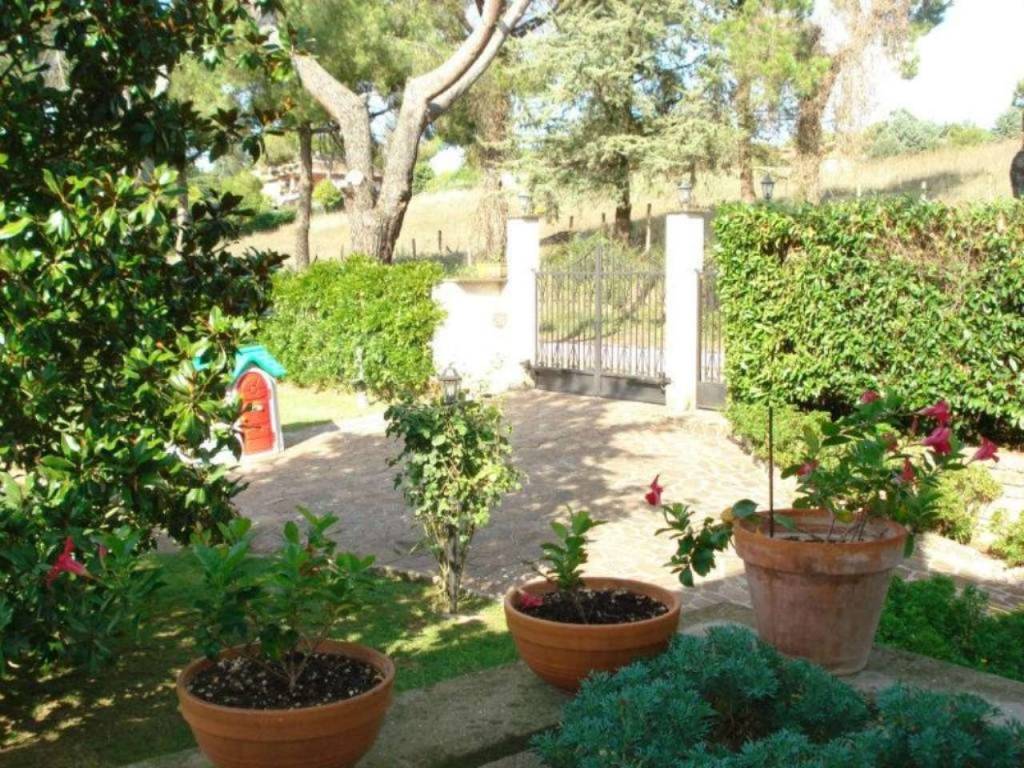 giardino