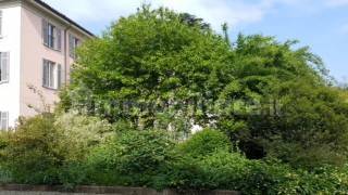 giardino scorcio casa