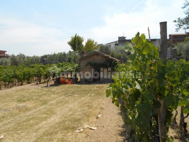 Rustico - Casale in vendita a Roma